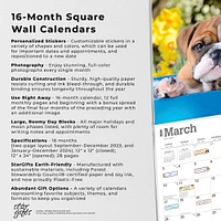 The Beauty of Bulldog Puppies | 2024 12 x 24 Inch Monthly Square Wall Calendar | Sticker Sheet | StarGifts | Animals Dog Breeds