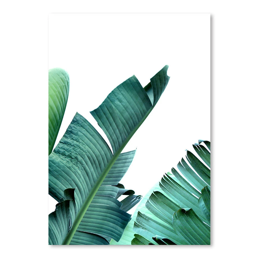 Banana Leaf by Tanya Shumkina  Poster Art Print - Americanflat