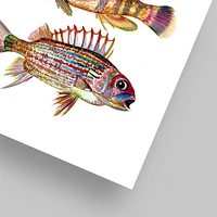 Three Fish Red by T.J. Heiser  Poster Art Print - Americanflat