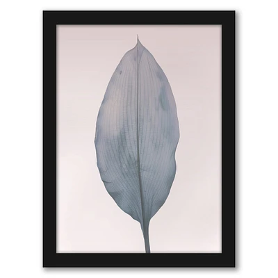 Pastel Pink Leaf by Tanya Shumkina Frame  - Americanflat