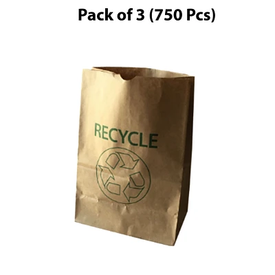 Paper Bag 500CT Brown-20 | Sustainability with our biodegradable, reusable, and recyclable brown paper bags—ideal for grocery shopping, retail packaging, and handle bags | MINA