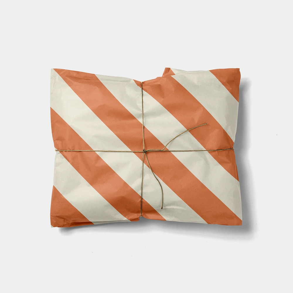 Terracotta and Cream Colorful Striped