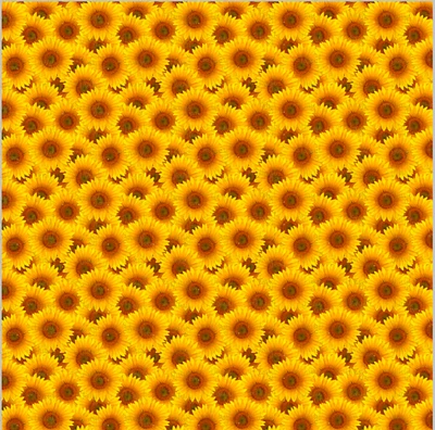 12 x 12 inch Sheet of Printed Vinyl or HTV in the Sunflowers Pattern