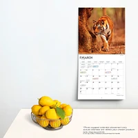 Magnificent Tigers | 2024 12 x 24 Inch Monthly Square Wall Calendar | Sticker Sheet | StarGifts | Wildlife Zoo Animals