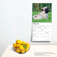 The Beauty of Pug Puppies | 2024 12 x 24 Inch Monthly Square Wall Calendar | Sticker Sheet | StarGifts | Animals Dog Breeds Puppy