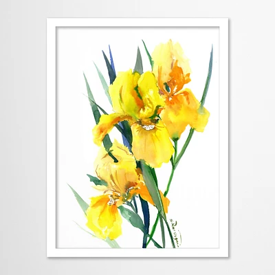 Irises by Suren Nersisyan Framed Print