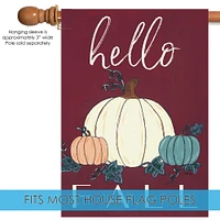 Hello Fall Gourds Decorative Fall Double Sided Flag