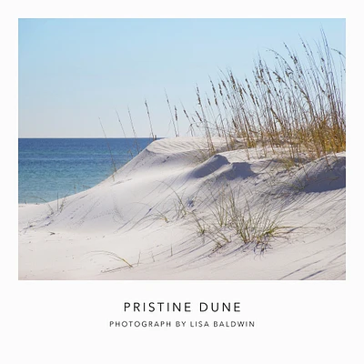 Pristine Sand Dune with Sugar White Sand and Sea Grass - Nature Photo - Quintessential Sand Dune