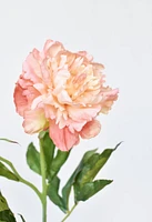 28" Faux Peach Peony Stem