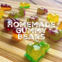 Homemade Gummy Bear Making Kit Silicone Mold and Dropper - Purple