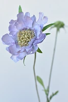 28" Faux Light Amethyst Scabiosa Stem