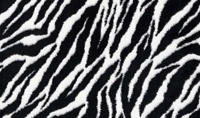 Baby Zebra-Double Luxe Minky Blanket