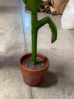 Small Yellow Sunflower In Pot Flower Statue