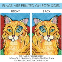 Pawcasso- Longhaired Orange Decorative Cat Flag