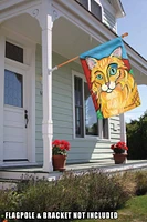 Pawcasso- Longhaired Orange Decorative Cat Flag