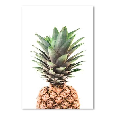 Pineapple by Tanya Shumkina Poster Art Print