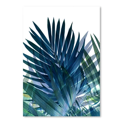 Palms Leaves by Emanuela Carratoni  Poster Art Print - Americanflat