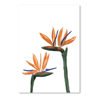 Birds Of Paradise Peekaboo by Jetty Home Poster Art Print