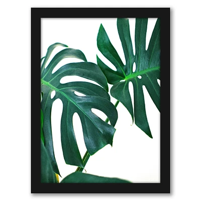 Monstera Leaves by Tanya Shumkina Frame