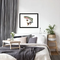Rainbow Trout by Cami Monet Frame  - Americanflat