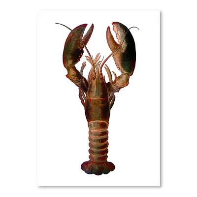 Lobster by Chaos & Wonder Design  Poster Art Print - Americanflat