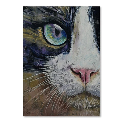 Snowshoe Cat by Michael Creese  Poster Art Print - Americanflat