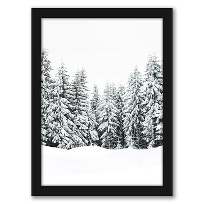 Winter Wonderland Christmas by Tanya Shumkina Frame