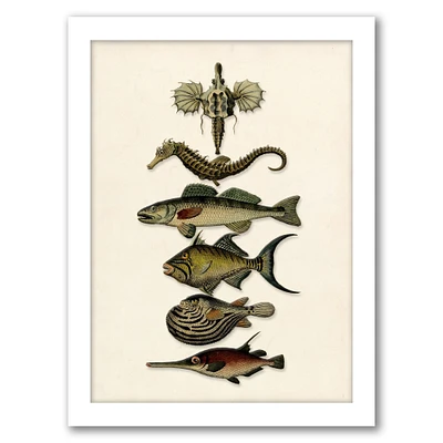 Sixfish by Coastal Print & Design Frame  - Americanflat
