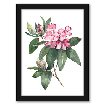 Rhododendron by Cami Monet Frame