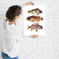 Three Fish Red by T.J. Heiser  Poster Art Print - Americanflat