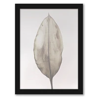 Isolated Leaf by Tanya Shumkina Frame  - Americanflat