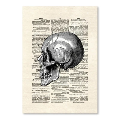 Skull by Matt Dinniman  Poster Art Print - Americanflat