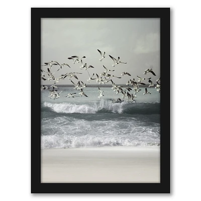 - Seagulls by Tanya Shumkina Frame  - Americanflat