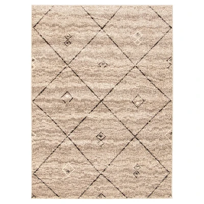 Chaudhary Living 6.5' x 9.5' Gray and Brown Moroccan Diamond Rectangular Area Throw Rug