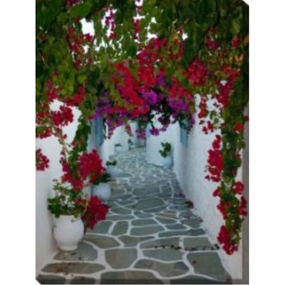 Outdoor Living and Style Pink and White Bougainvillea Path Outdoor Canvas Rectangular Wall Art Decor 40" x 30"