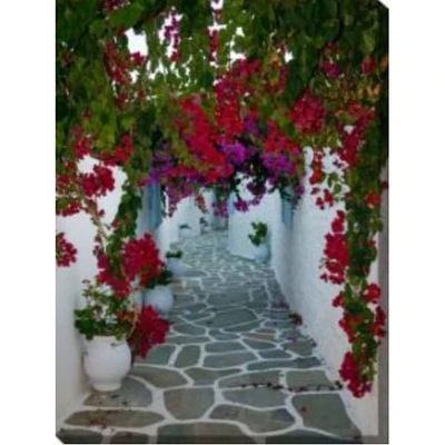 Outdoor Living and Style Pink and White Bougainvillea Path Outdoor Canvas Rectangular Wall Art Decor 40" x 30"