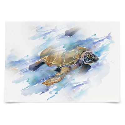 Turtle by Rachel McNaughton  Poster - Americanflat