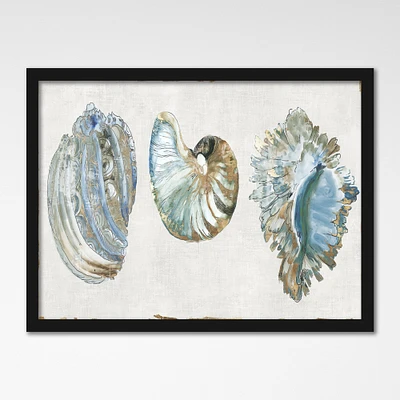 Golden Blue Shells by PI Creative Art Framed Print