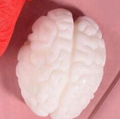 Mini Brain Candle