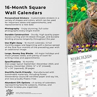 The Beauty of Cats | 2024 12 x 24 Inch Monthly Square Wall Calendar | Sticker Sheet | StarGifts | Feline Kittens Pets