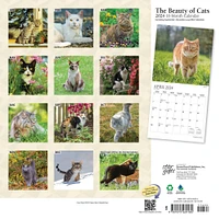 The Beauty of Cats | 2024 12 x 24 Inch Monthly Square Wall Calendar | Sticker Sheet | StarGifts | Feline Kittens Pets