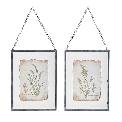 Melrose Reed Plants Framed Wall Art - 12.5" x 16" - Set of 2