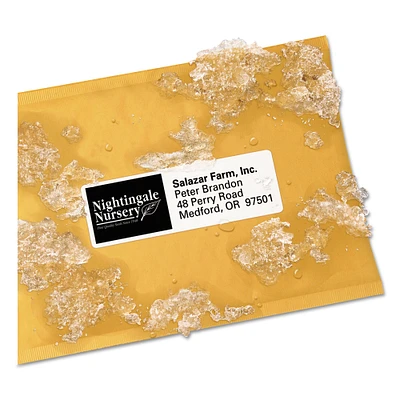 Avery WeatherProof Durable Mailing Labels w/ TrueBlock Technology Laser Printers 1.33 x 4 White 14/Sheet 50 Sheets/Pack