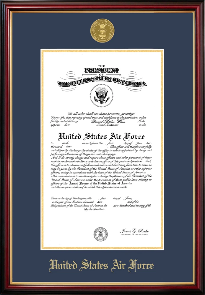 Patriot Frames Air Force 11x14 Certificate Petite Frame with Gold Medallion