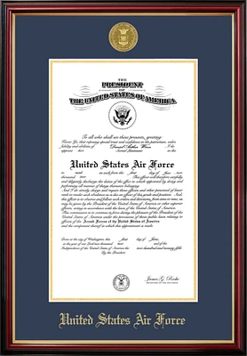 Patriot Frames Air Force 11x14 Certificate Petite Frame with Gold Medallion