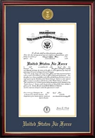 Patriot Frames Air Force 11x14 Certificate Petite Frame with Gold Medallion