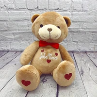 Personalized Teddy Bear Plush, custom name stuffed animal