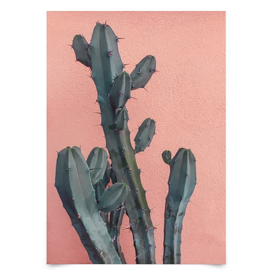 Cactus On Pink Wall by Emanuela Carratoni Poster