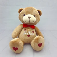 Personalized Teddy Bear Plush, custom name stuffed animal