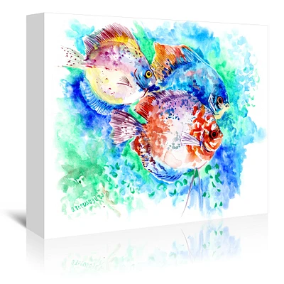 Discus Aquarium by Suren Nersisyan  Gallery Wrapped Canvas - Americanflat